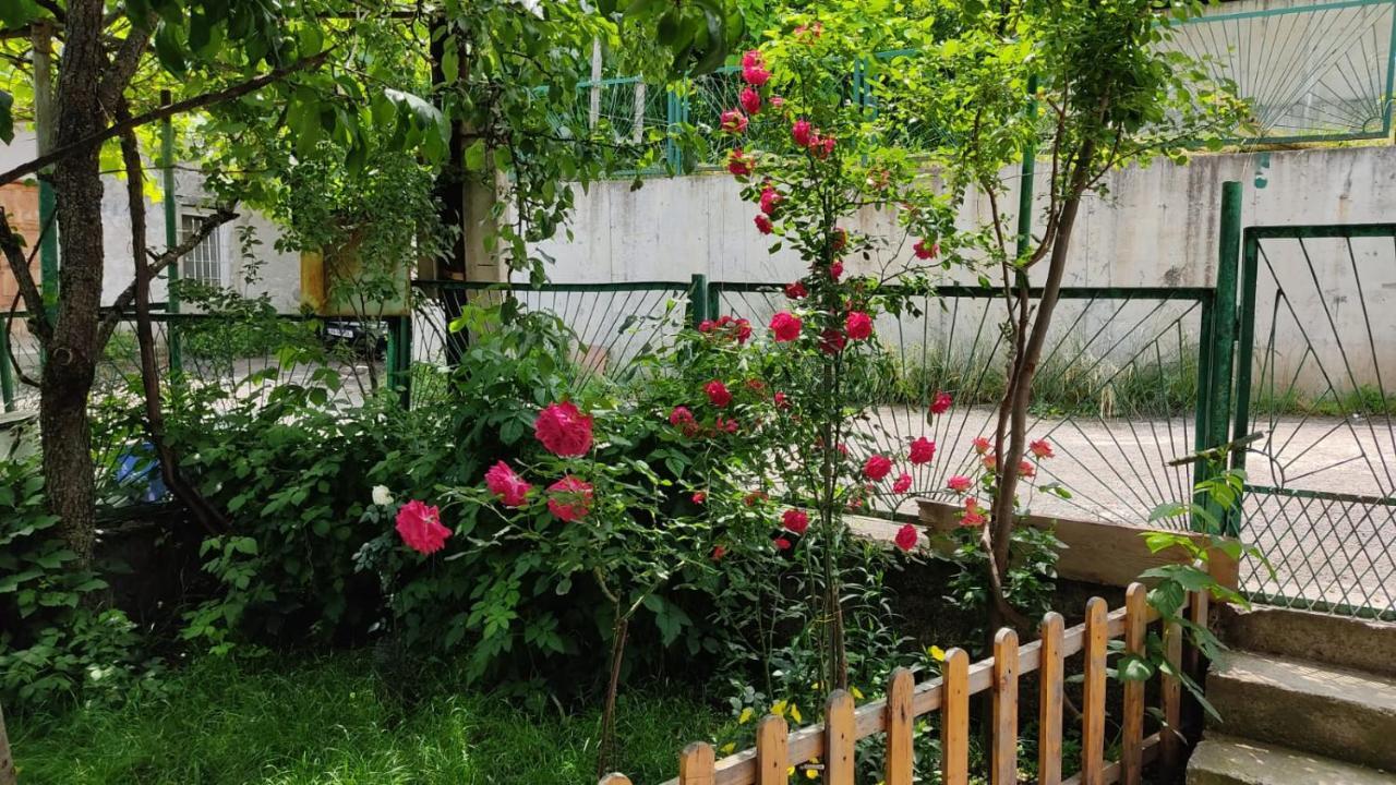 Hotel Borjomi Nest Extérieur photo