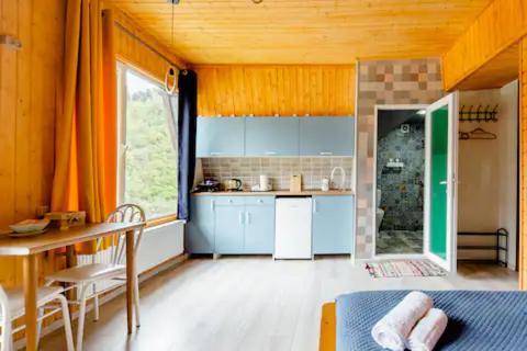 Hotel Borjomi Nest Extérieur photo